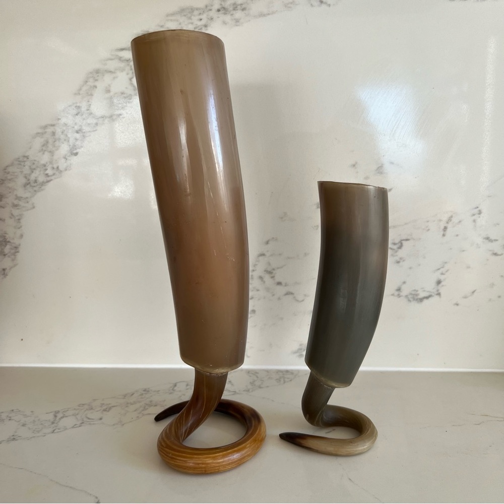 Real- African Horn vases